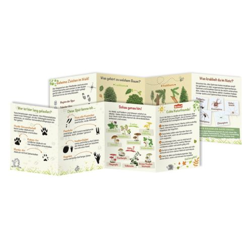 Gefaltete Broschüre zum Thema Natur mit Abbildungen von Tierspuren, Bäumen und Insekten. Deutscher Text auf jeder Seite.