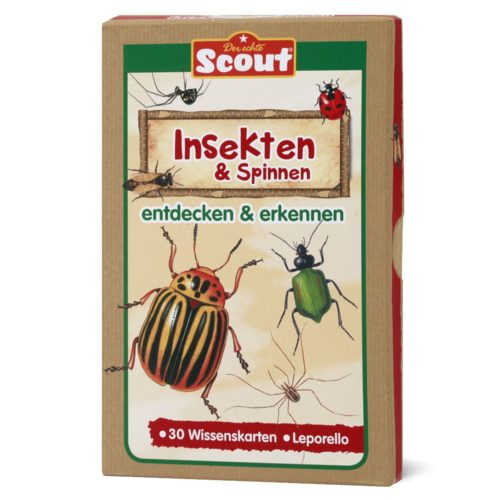 Schachtel mit „Scout“-Lernkarten zum Thema Insekten und Spinnen, mit bunten Illustrationen auf dem Umschlag.
