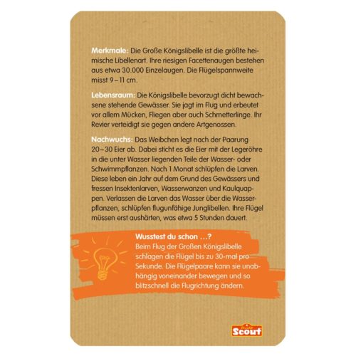 Text auf gekerbtem Papier mit Fakten zur Libelle und einem orangefarbenen Pfadfinderlogo am unteren Rand.