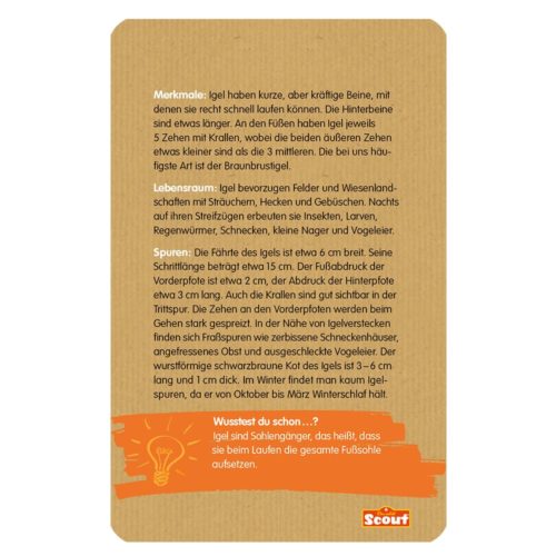 Karte mit deutschem Text zum Thema Igel, versehen mit einem orangefarbenen „Wussten Sie schon?“-Abschnitt mit weiteren Fakten.