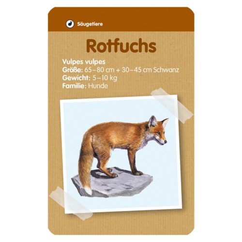 Abbildung eines Rotfuchses mit Angaben zu Größe, Gewicht und Familie auf einer braunen Karte.