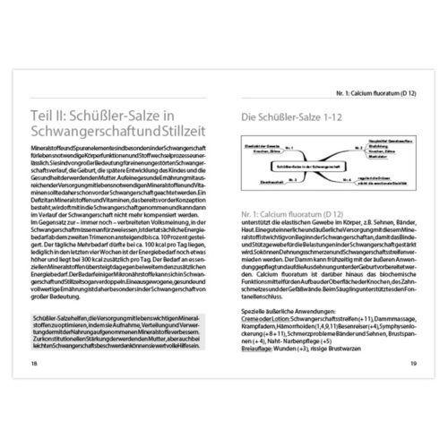 Zwei Seiten eines deutschen Textdokuments über Schüßler-Salze während der Schwangerschaft und Stillzeit.