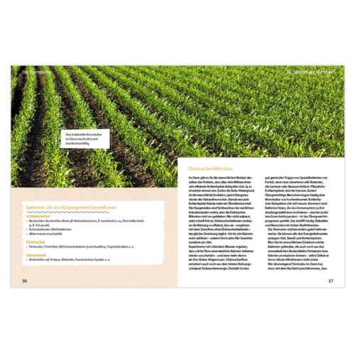 Eine Doppelseite im Magazin, auf der links ein Feld mit Nutzpflanzen und auf der rechten Seite ein deutscher Text abgebildet ist.