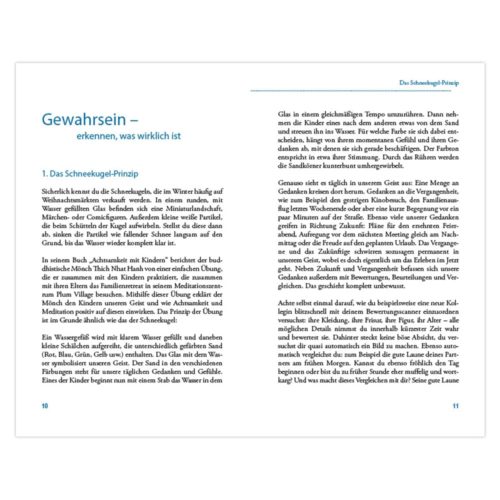Eine Buchseite mit deutschem Text und der Überschrift: „Gewahrsein – erkennen, was wirklich ist“ auf weißem Hintergrund.