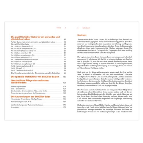 Inhaltsverzeichnis und Einführungstext des Buches in deutscher Sprache, mit Nummerierung und Titel der Abschnitte in roter und schwarzer Schrift.