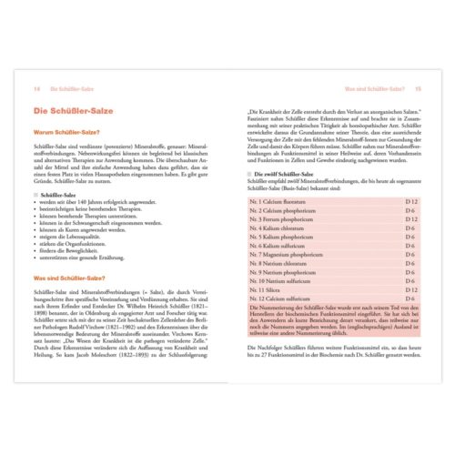 Buchseite über Schüßler-Salze mit Text zu ihren Vorteilen und einer Liste von 12 Salzen mit entsprechenden Nummern.