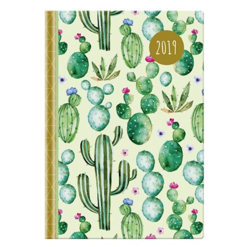 Buchkalender 2019 - Kaktus