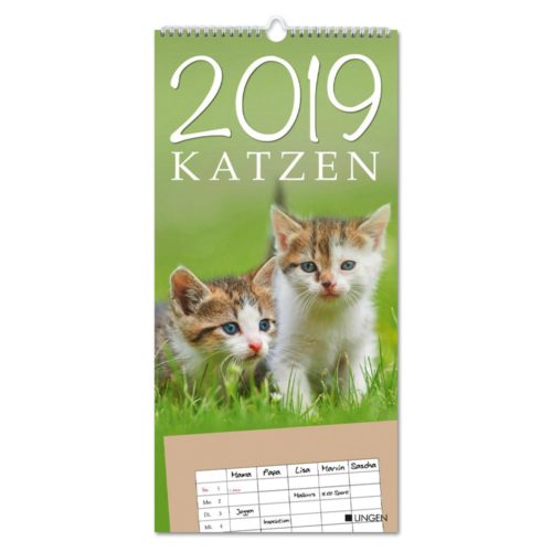 Streifenkalender 2019 - Katzen