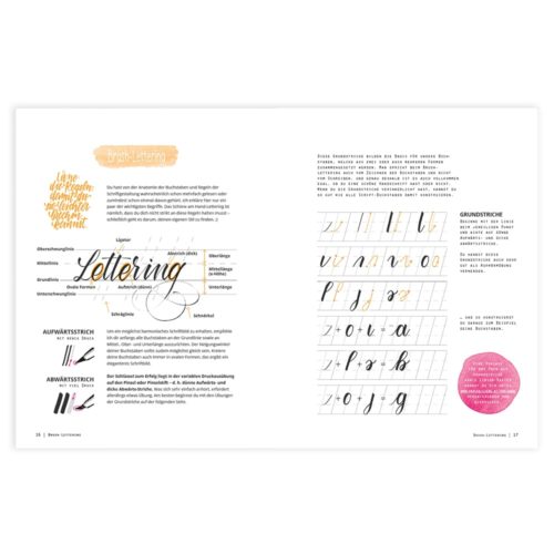 Eine Tutorial-Seite zum Brush Lettering mit Beispielen, Abbildungen und Übungsrastern für verschiedene Striche und Buchstaben.