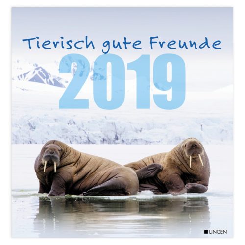 Zwei auf Eis ruhende Walrosse mit Bergen im Hintergrund, unter dem Text „Tierisch gute Freunde 2019“.