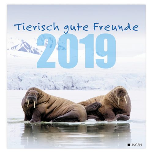 Dekokalender 2019: Tierisch gute Freunde