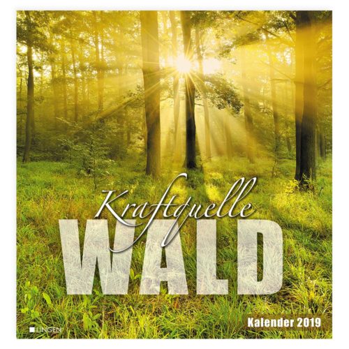 Sonnenlicht strömt durch einen üppigen grünen Wald, überlagert mit dem Text „Kraftquelle WALD“.