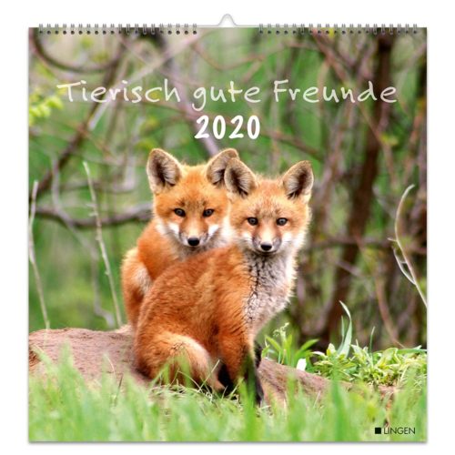 Kalendereinband mit zwei im Gras sitzenden Fuchsjungen