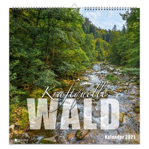 Dekokalender 2021 – Kraftquelle Wald