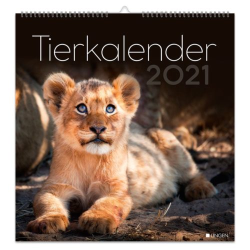 Cover eines Tierkalenders 2021 mit einem auf dem Boden liegenden Löwenjungen.