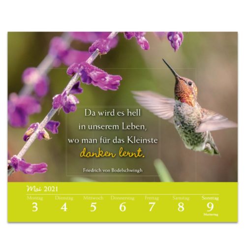 Kolibri neben lila Blumen mit einem deutschen Zitat über Dankbarkeit. Kalender mit Mai 2021.