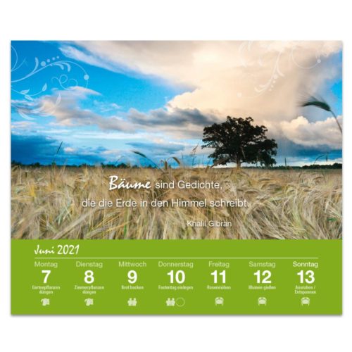 Ein Baum steht auf einem Feld unter einem bewölkten Himmel. Unten stehen deutscher Text und Kalenderdaten für Juni 2021.