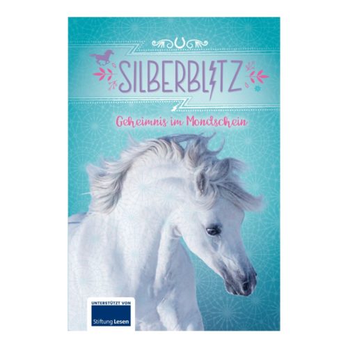 Ferien-Lesebuch: Silberblitz