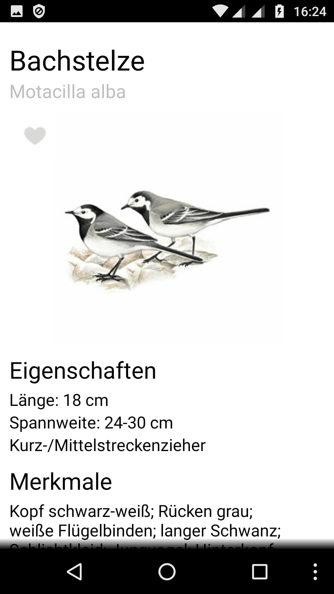 NABU Vogelführer – Screenshot Android