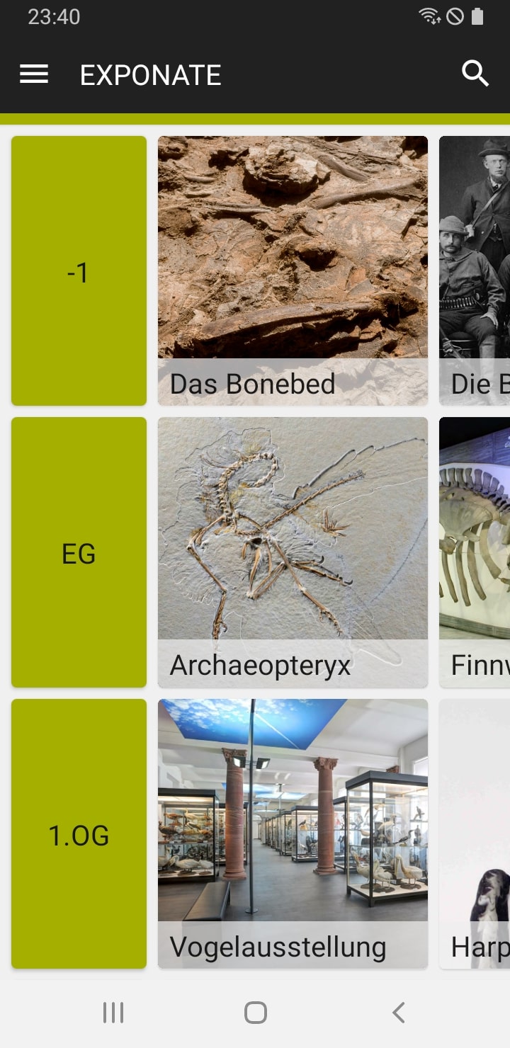 Senckenberg Naturmuseum – Screenshot Android