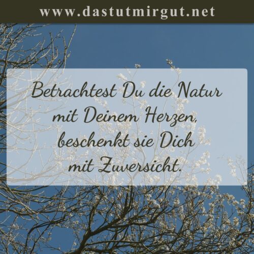 Unser AchtsamkeitsSpruch der Woche zum Thema Hildegard von Bingen