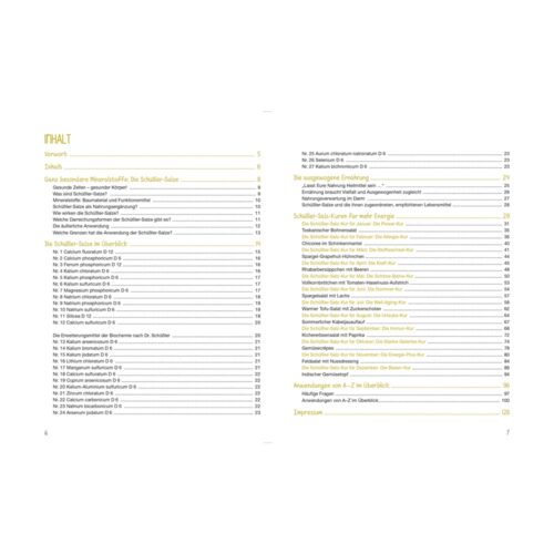 Zwei Seiten des Inhaltsverzeichnisses eines Buches mit einer Auflistung der Themen mit Seitenzahlen.