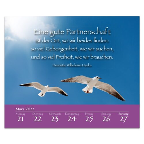 Zwei Möwen fliegen in einem blauen Himmel über einer Kalenderseite mit einem deutschen Zitat zum Thema Partnerschaft.