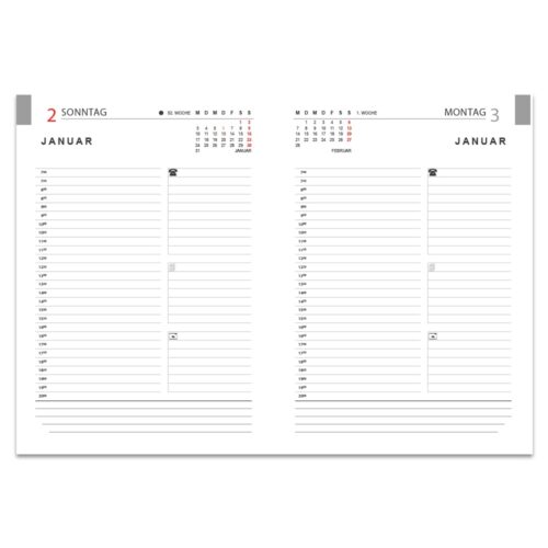 Offenes Tagebuch mit zwei Seiten für den 2. und 3. Januar, mit liniertem Feld für Notizen und kleinen Kalendern oben.