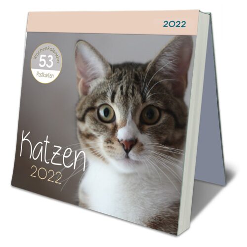 Kalendercover mit einer Nahaufnahme des Gesichts einer getigerten Katze, der Titel „Katzen 2022“ und der Aufschrift „53 Postkarten“.