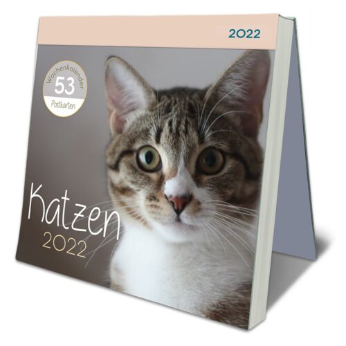 Postkarten-Kalender 2022 – Katzen