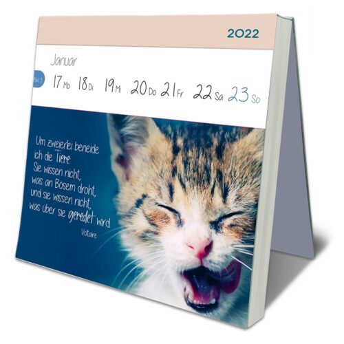 Ein Tischkalender mit einem Foto einer gähnenden Katze und einem Voltaire-Zitat auf Deutsch.