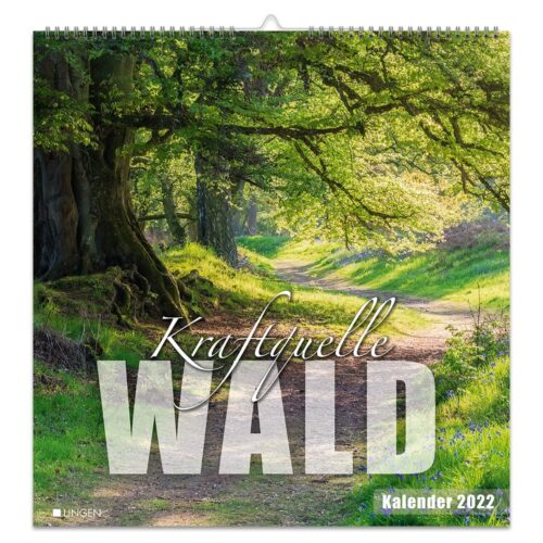 Dekokalender 2022 – Kraftquelle Wald