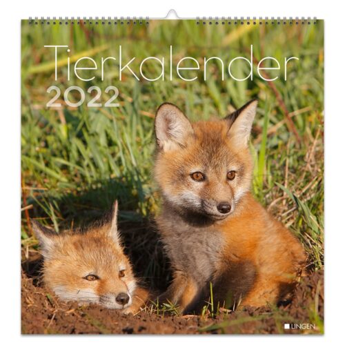 Tierkalendercover 2022 mit zwei jungen Füchsen, die im Gras ruhen.