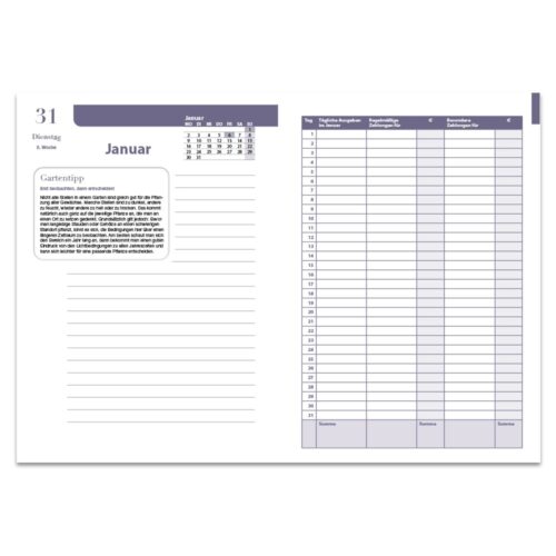 Offener Planer mit Januar-Kalender, linierter Seite für Notizen und einer Tabelle zum Organisieren täglicher Aktivitäten und Aufgaben.
