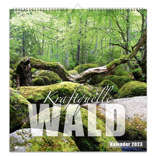 Dekokalender 2023 – Kraftquelle Wald