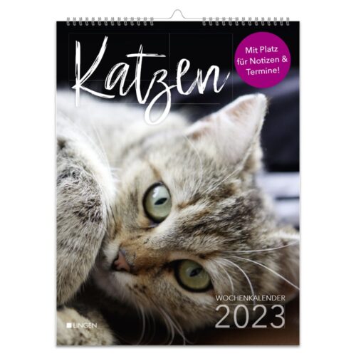 Nahaufnahme eines Katzengesichts auf dem Cover eines deutschen Kalenders 2023 mit dem Titel „Katzen“ und einem Notizbereich.