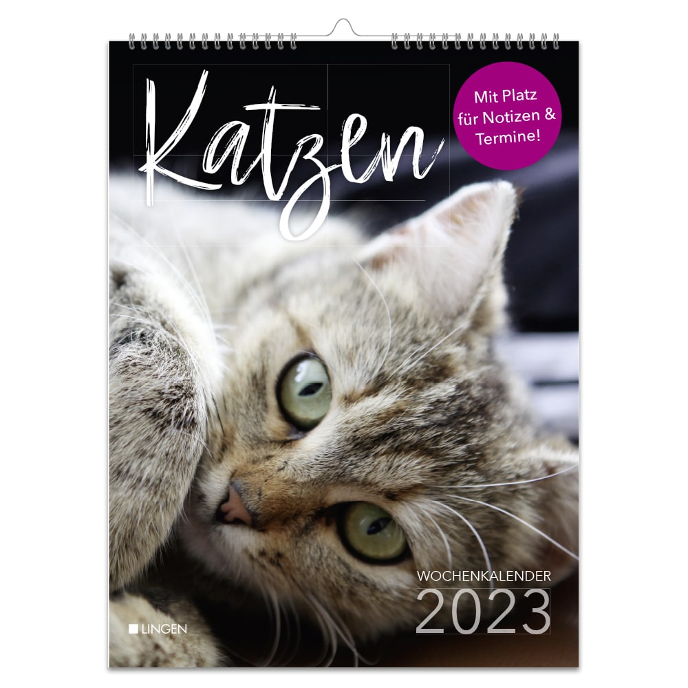 –　Wochenkalender　2023　Katzen