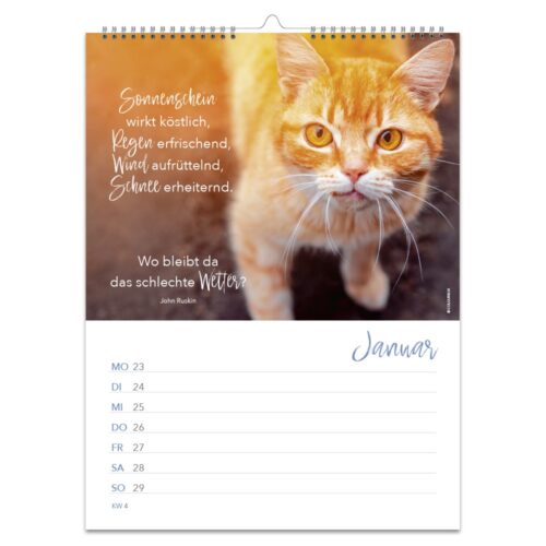 Kalenderseite mit dem Januar, einer Nahaufnahme einer orangefarbenen Katze und einem Zitat auf Deutsch.