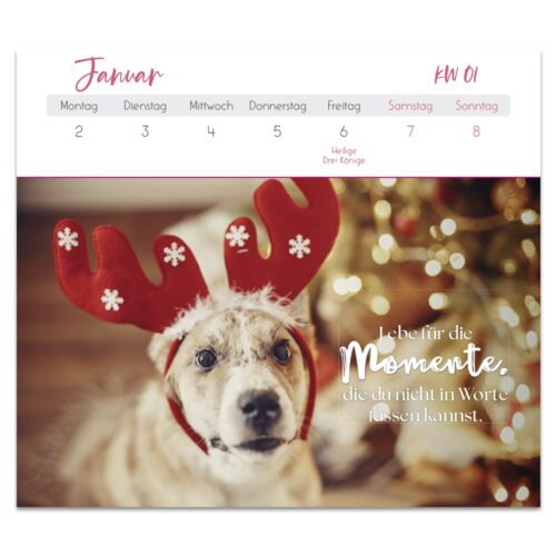 Ein Hund mit Rentiergeweih sitzt neben einem Weihnachtsbaum auf einer Januar-Kalenderseite. Deutscher Text überlagert das Bild.