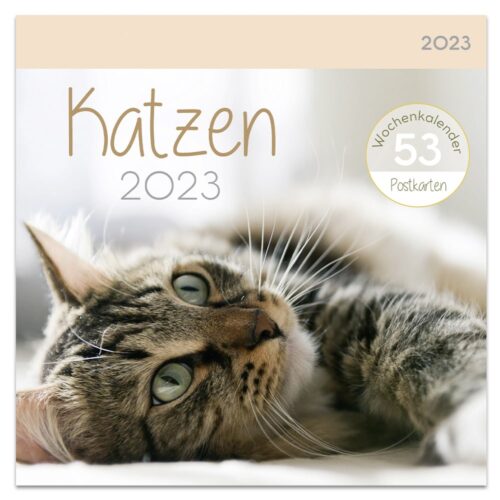 Eine auf der Seite liegende getigerte Katze, abgebildet auf dem Cover eines Katzenkalenders 2023 mit dem Titel „Katzen 2023“.