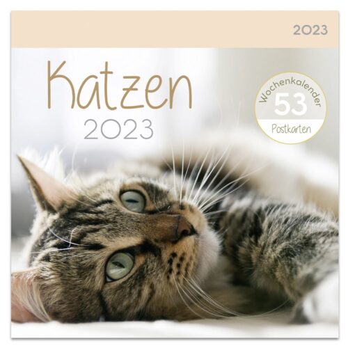 Postkartenkalender 2023 – Katzen