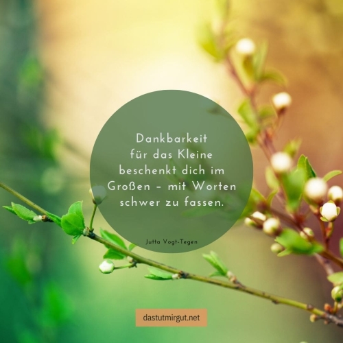 Unser AchtsamkeitsSpruch der Woche zum Thema Dankbarkeit