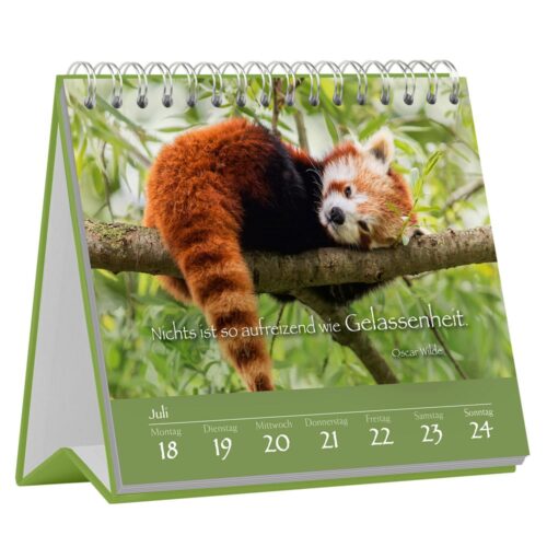 Ein Roter Panda ruht auf einem Ast in einem Spiralkalender für die Woche vom 18. bis 24. Juli mit einem deutschen Zitat.