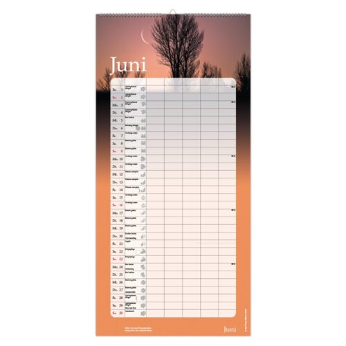 Juni-Kalender mit Baumsilhouetten vor dem Hintergrund eines Sonnenuntergangs.