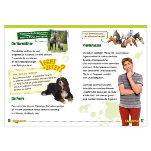 Farbenfrohe Doppelseite zum Thema Pferde mit Bildern von Pferden, Ponys und einer nachdenklichen Person. Durchgehend deutscher Text.