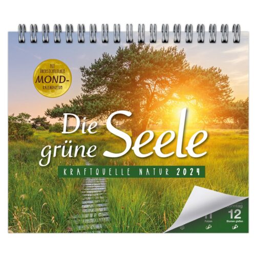 Ein Kalender für 2024 mit Naturmotiven, einer ruhigen Landschaft und Sonnenschein, der durch die Bäume fällt.