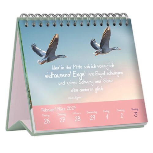 Tischkalender mit fliegenden Gänsen und einem Zitat von Dante Alighieri, angezeigt vom 26. Februar bis 3. März 2024.