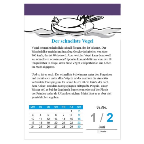 Kalenderblatt mit einer Illustration eines Pinguins, der auf Eis gleitet. Deutscher Text über den schnellsten Vogel.