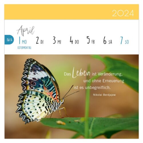 Schmetterling auf einem Ast in einem Kalender für April 2024 mit einem inspirierenden deutschen Zitat.