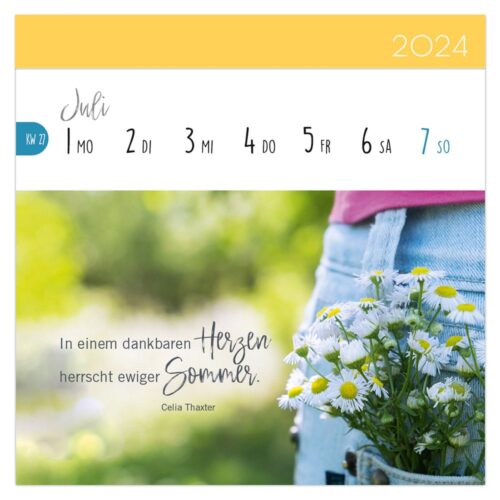 Kalenderblatt mit Gänseblümchen in einer Jeanstasche, Juli 2024, mit einem Zitat auf Deutsch.